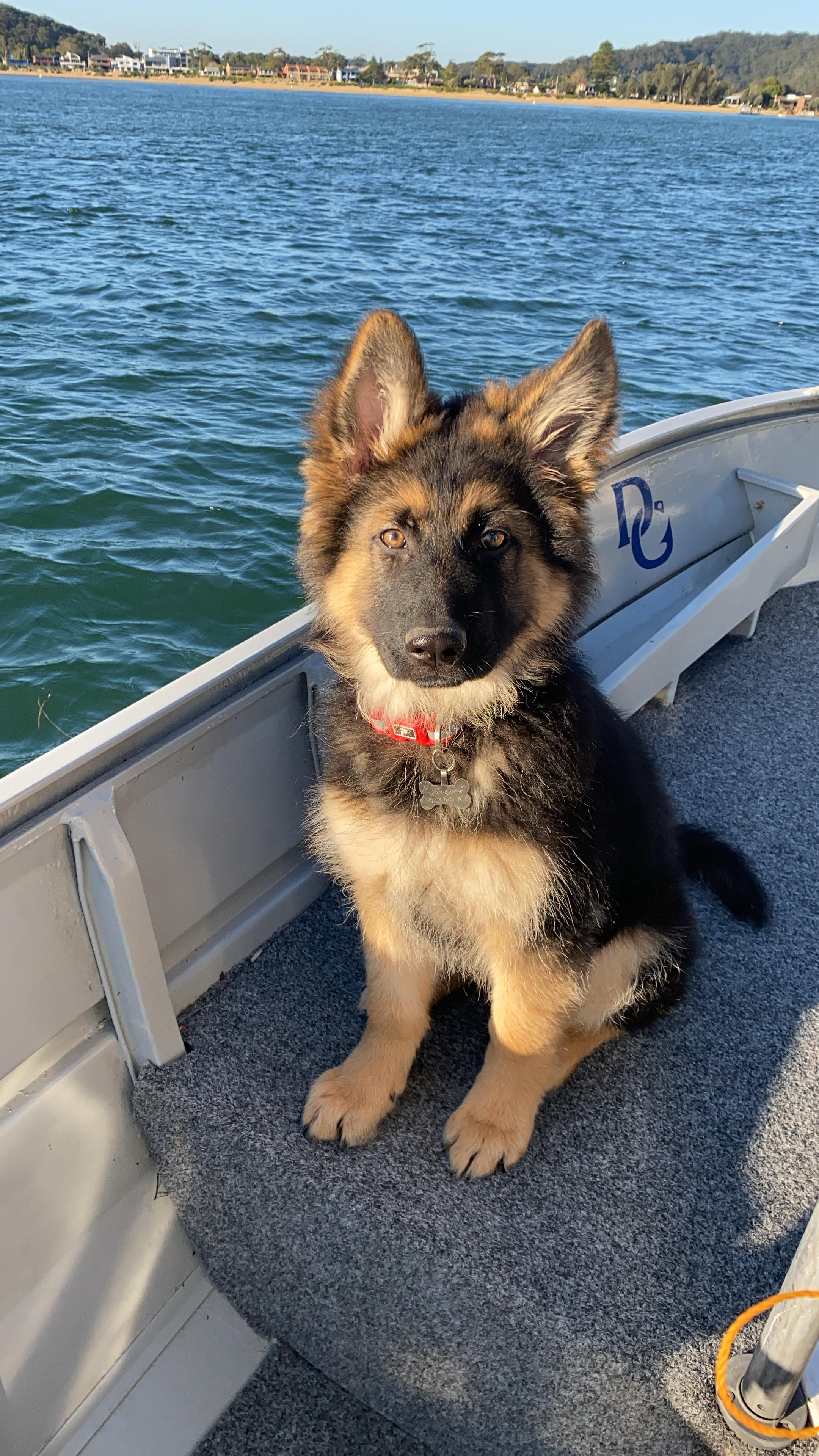 Jasper out fishing!